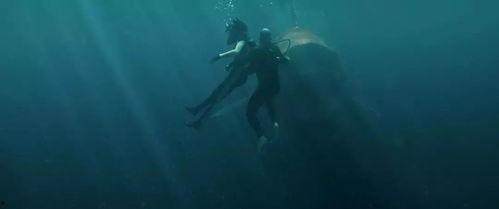 巨齿鲨在线观看,深海巨兽的惊悚回归 第1张 巨齿鲨在线观看,深海巨兽的惊悚回归 第1张