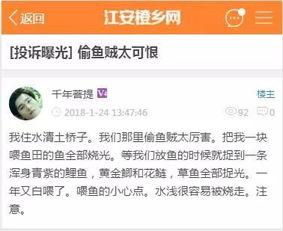 江安的新闻爆料该找谁投诉,揭秘投诉渠道,助力维权行动 第3张 江安的新闻爆料该找谁投诉,揭秘投诉渠道,助力维权行动 第3张