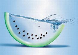 免费吃瓜创意广告词大全,畅享夏日狂欢盛宴! 第2张 免费吃瓜创意广告词大全,畅享夏日狂欢盛宴! 第2张