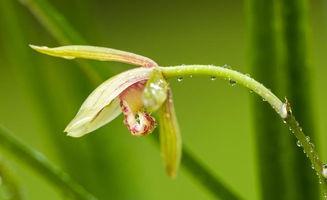 兰花姐姐最新爆料,娱乐圈幕后真相大曝光！