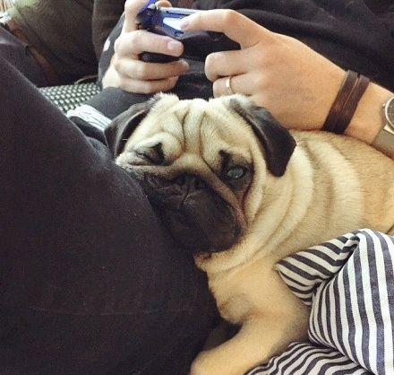 巴哥爆料角色视频大全,角色视频大全精彩瞬间大盘点